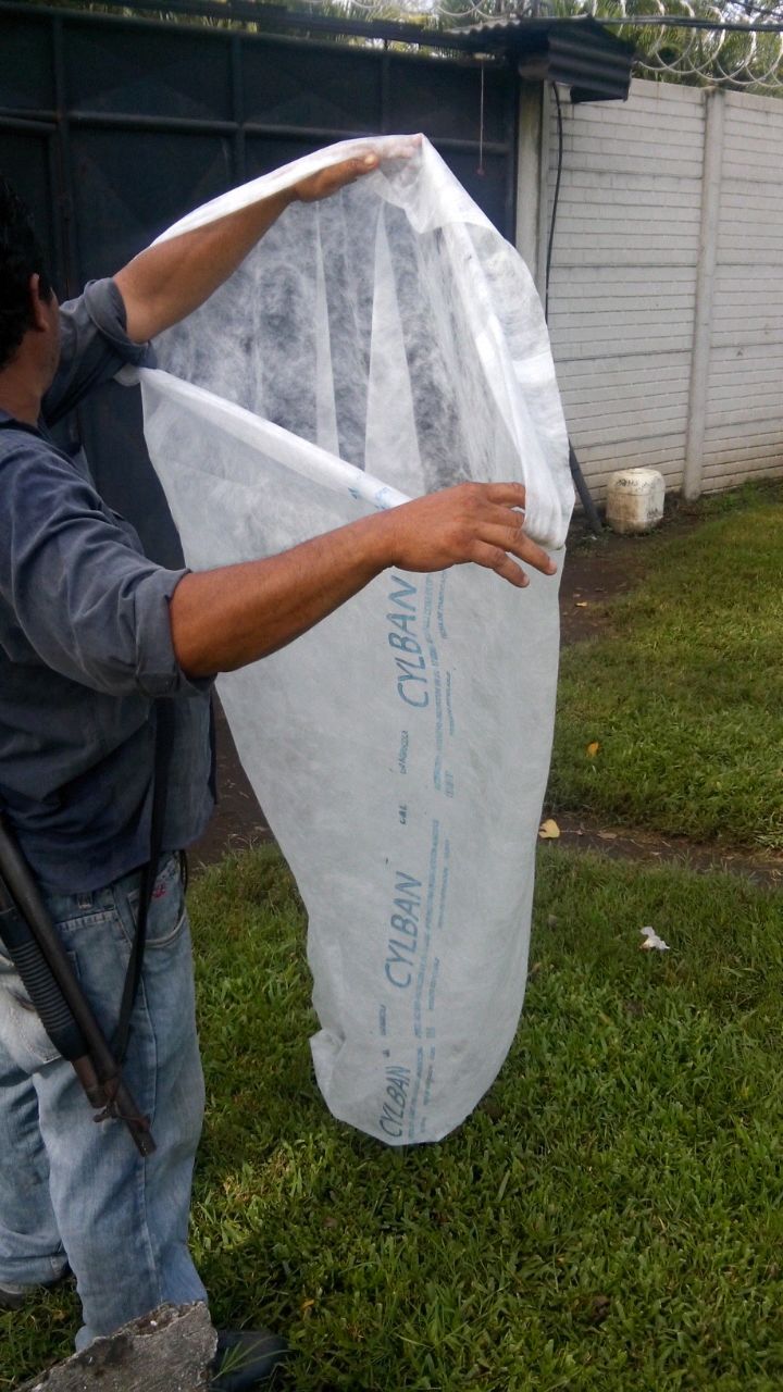 �o��������� 