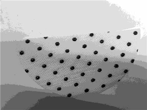 ���ޟo����