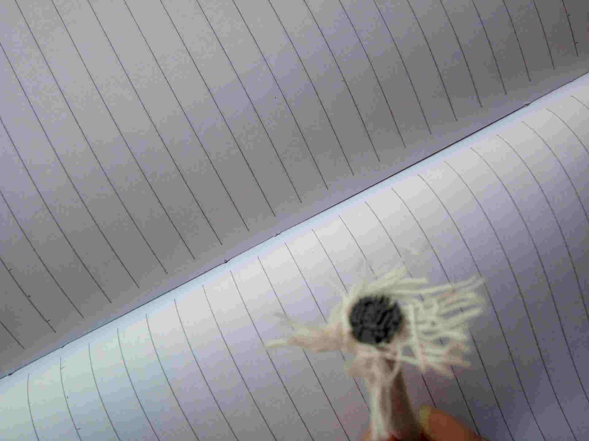 ��ُ(g��u)�ɾo��