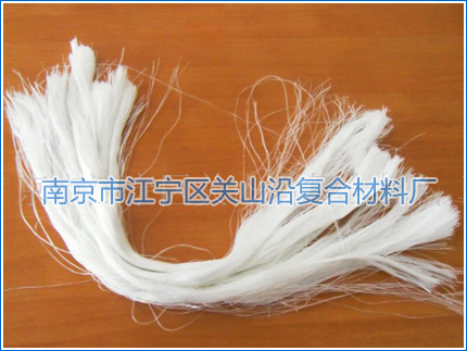 �o�A���ЉA�����w�S�_���z