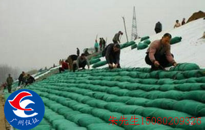 ��ɫ�o(h��)�´��Gɫ���B(t��i)���S��ֱ�N�Nֲ��