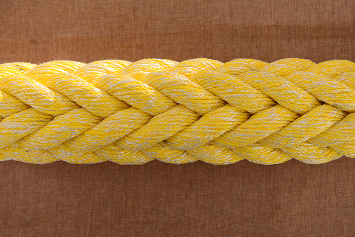 �����c��ϩ�N��������|�K