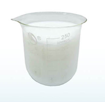 ���]���w�̈́�