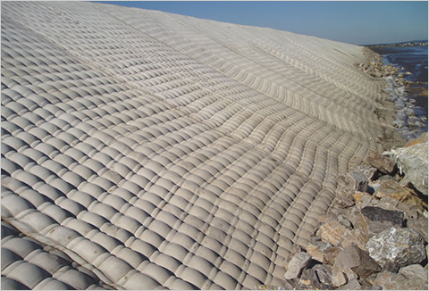 ����ģ����