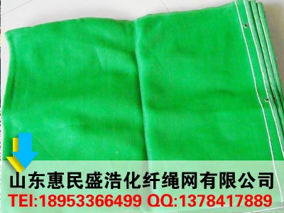 ���ذ�ȫ�W(w��ng)�S�҃r(ji��)��ʢ���K�W(w��ng)��