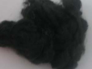 �۱�ϩ���w�S