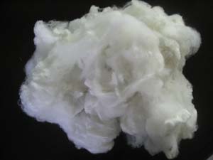 �۱�ϩ���w�S