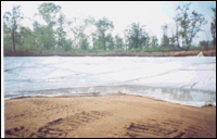 ����(y��ng)��(f��)������Ĥ