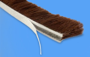 ԥ�d��9*5�X�Ͻ��T(m��n)����ɫ�T(m��n)���ܷ�ë�l