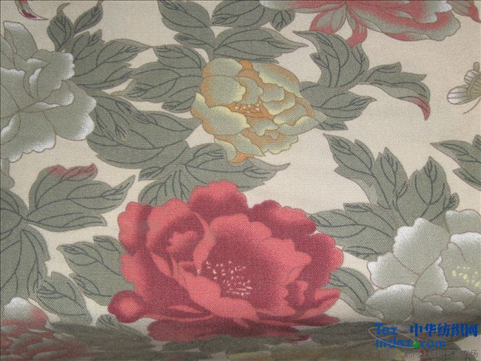 �p���o����