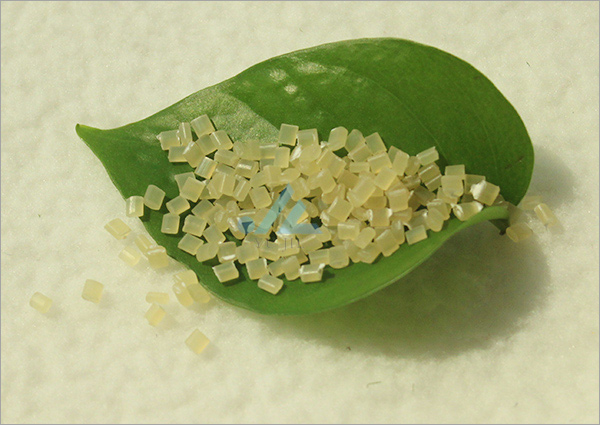 ���]���w��������ĸ��