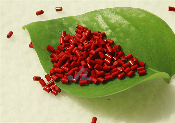 ���]���w��������ĸ��