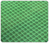 ؓ(f��)�x���^�V�W(w��ng)