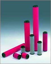 ZANDER���_(d��)�Vо