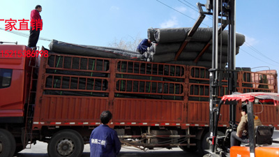 �gӭ�����R�L��܇��픰屣�o����ˮ��