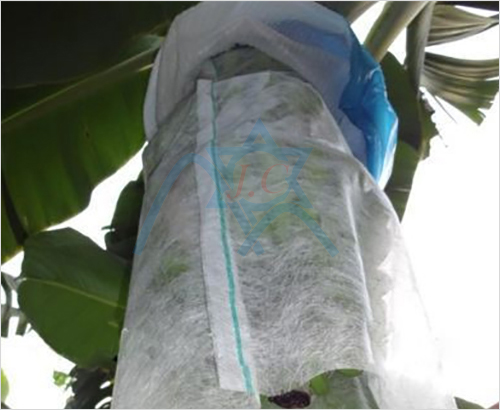 �㽶���ü�ճ�o(w��)����