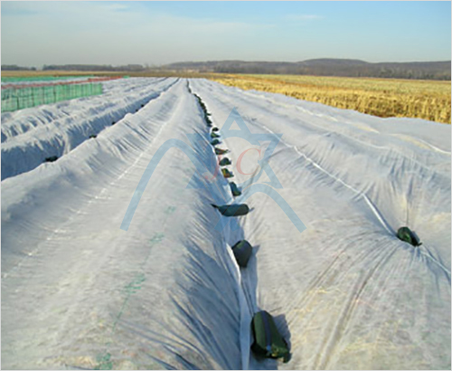 �ӏ�߅pp��ճ�o����