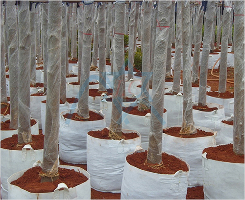 ֲ��������ü�ճ�o����