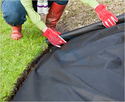 ��Ĥ�ü�ճ�o(w��)...