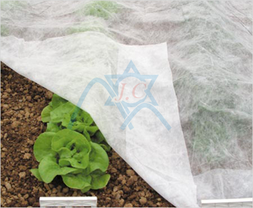 �wĤ�ü�ճ�o����