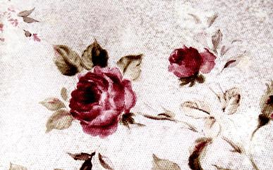 ӡ���o����