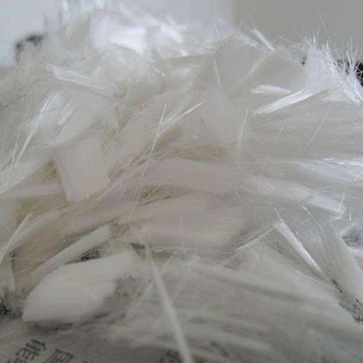 �����I�۱���ϩ�w�S�|(zh��)�����C