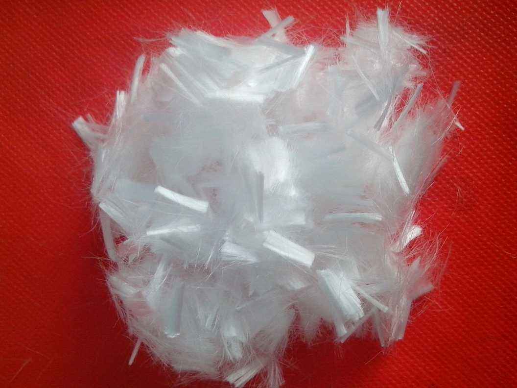 �x��·�����w�S������