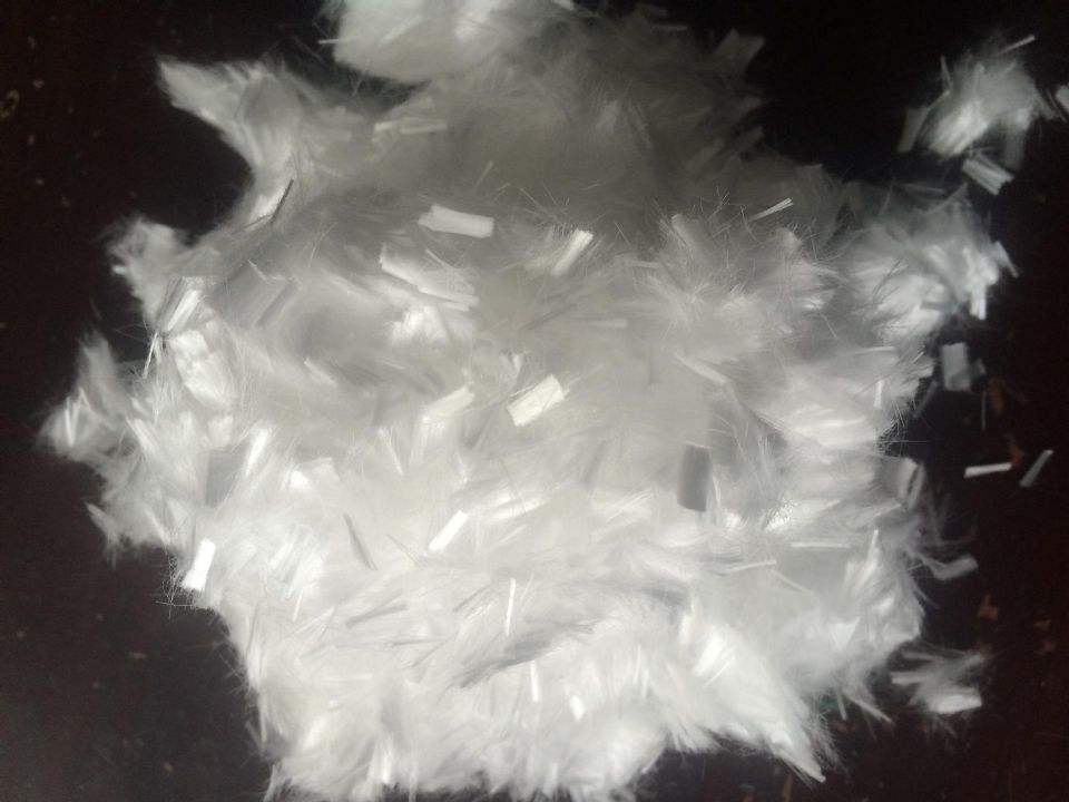 �������W(xu��)�w�S���̌���