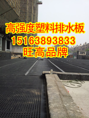 20��Nֲ�G����ˮ����B��