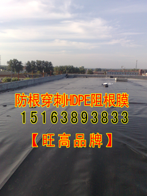 ������������Ĥ���Vˮ����