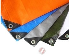 ����ÿ�UV���ϻ�ĸ��