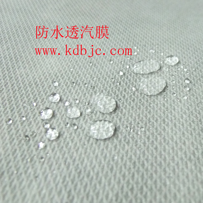 ��ˮ����Ĥ