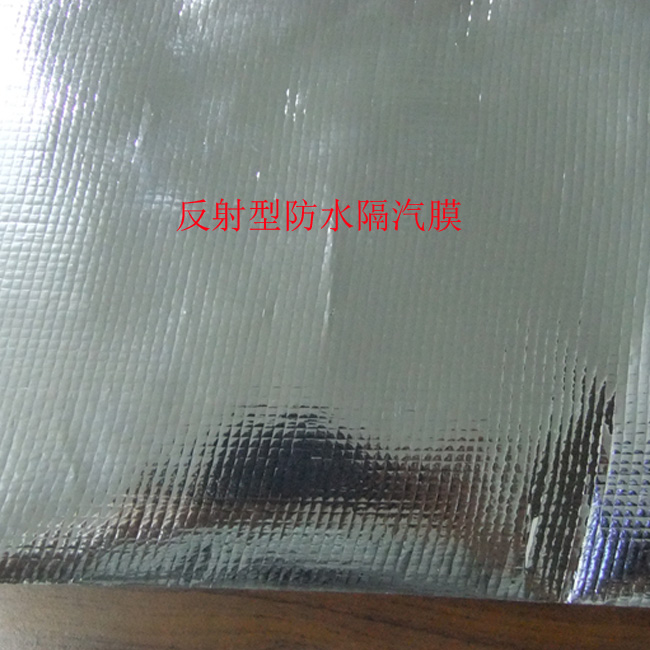 PE��X����Ĥ