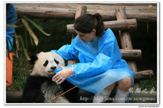 PE��Ĥ�o����