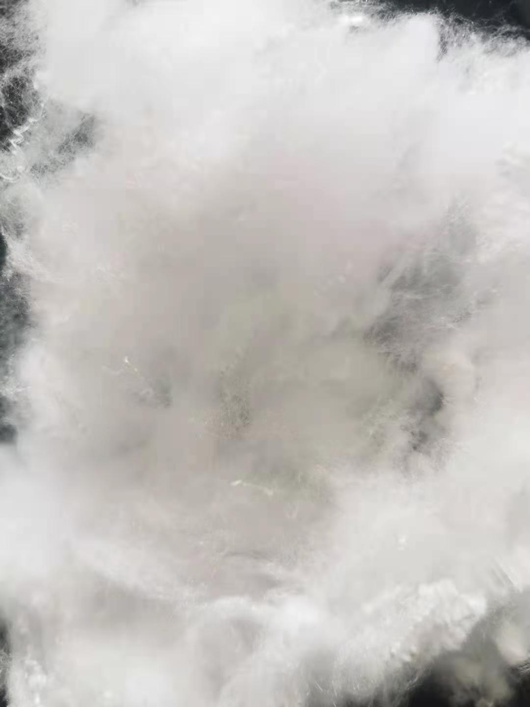 ES�ͺ϶��w�S