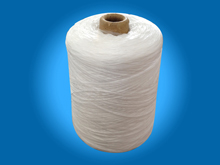 �ߏ�(qi��ng)���]�z