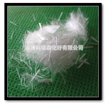 �����w�S 