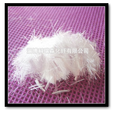 ���������w�S