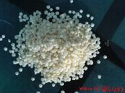 ���o�ĸ��