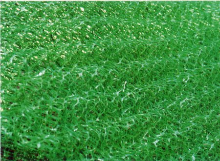 ���S�����W(w��ng)�|