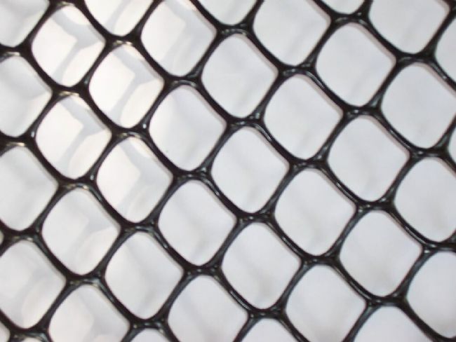 �����W(w��ng)