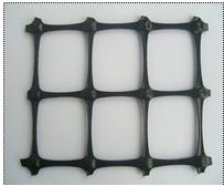 �p�������������