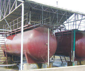 ���w�S�̈́�