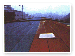 ����(y��ng)-10��3mmSBS�����w��ˮ����