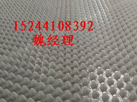 �ؑc�G���Nֲ��ˮ��