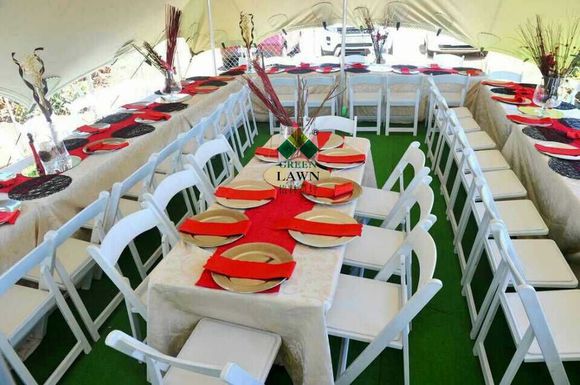 ����๦�ܲ�ƺ1-5CM�߶�ɫ��ƺ