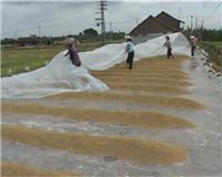 �r(n��ng)�I(y��)�o����