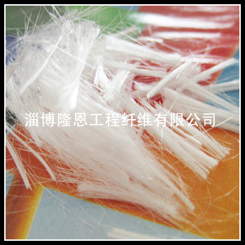 �����������w�S