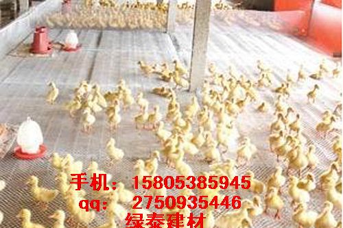 �����B(y��ng)���������ϾW&���u�B(y��ng)ֳ�W