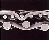 ���]�νz�^�V��